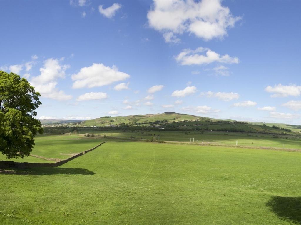 Throstle Nest Farm Otel Carleton Dış mekan fotoğraf